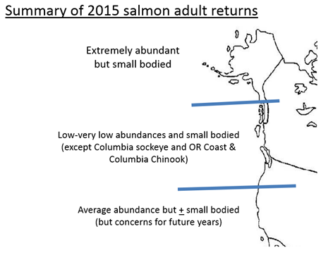 Map: summary of 2015 Adult Salmon Returns