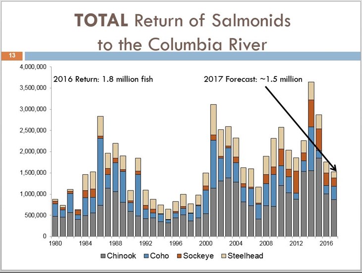 2017 Fish Forecast: Total return of Salmonids to the Columbia River