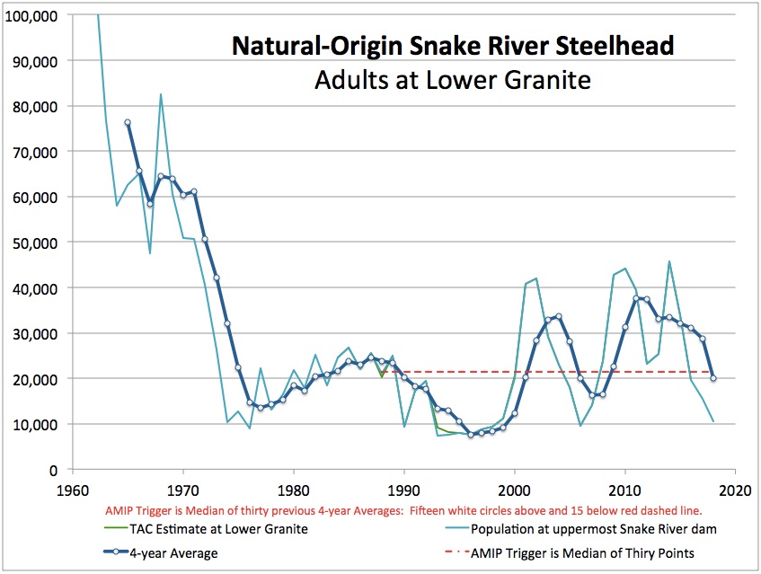 Snake River Steelhead Triggers Early Warning Indicator, NOAA is trying to ignore that fact.
