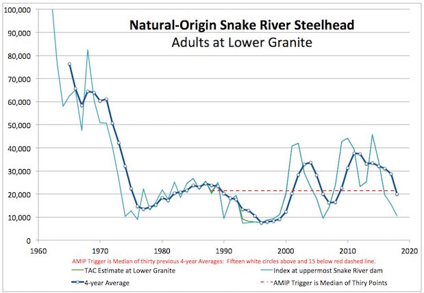 Graphic: Snake River Steelhead are in steep decline.  NOAA Fisheries is refusing to admit it though, this is the grahic that shows the Early Warning Indicator has been tripped.