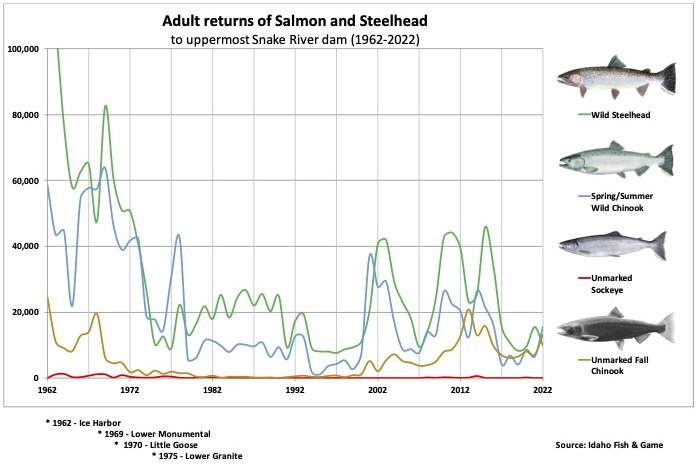 Adult Runs to Idaho of Salmon and Steelhead (1962-2022) counted at highest dam of their migratory route.
