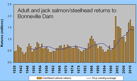 Graphic: Number of Salmon and Steelhead adults climbing over Bonneville Dam from 1938 throught 2012.
