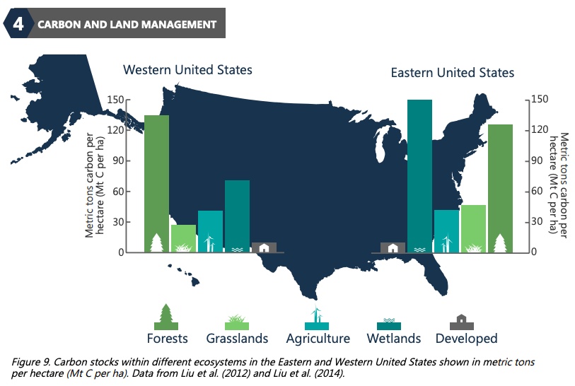 Graphic: Carbon stocks within different ecosystems in the Eastern and Western United States, shown in metric tons per hectare.  Data from Liu et al. (2014).