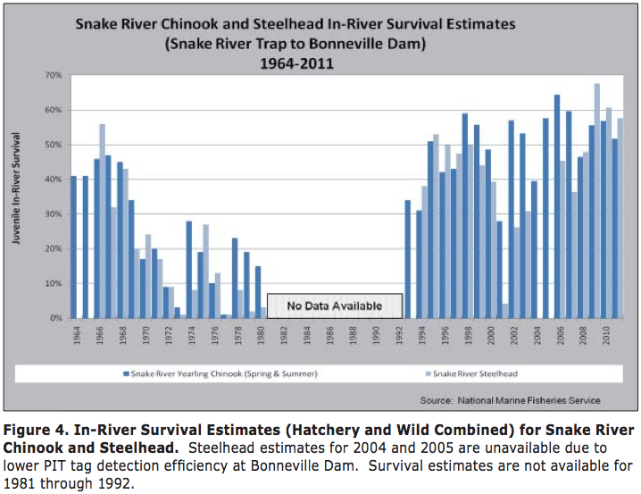 Graphic: Survival rates of juvenile Chinook and Steelhead migrating downstream through the federal hydrosystem corridor.  Note that in most years, fewer than half the juvenile run has survived the dangerous downstream migration.