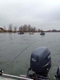 Spotty for spring chinook in Lower Columbia, but other fishing options around in southwest region