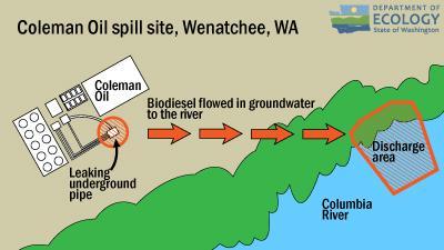 Map: Biodiesel spilled from a leaking underground pipe and flowed in groundwater to the Columbia River, creating a visible sheen for more than a year after it was first discovered on March 17, 2017. (Washington Department of Ecology).