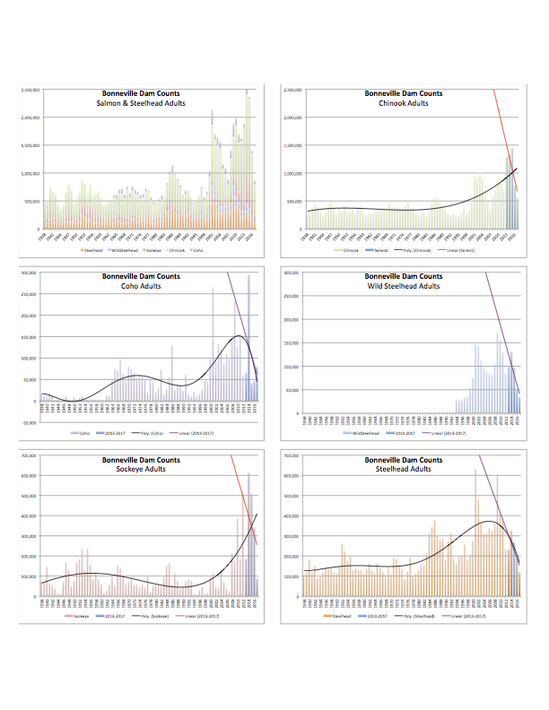 Graphic: Adult salmon counts at Bonneville Dam 1938-2017 are showing a steep downward decline in salmonids returing to the Columbia River basin.