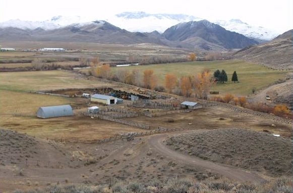 Conservation easement preserves historic Ellis Ranch on Salmon River near Challis, Idaho.
