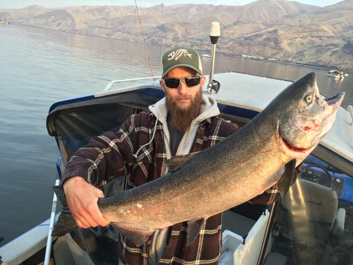 Tyler Barrong of Spokane lands a 34.25-inch fall Chinook while salmon fishing near the confluence of the Clearwater and Snake rivers on Sept. 16, 2014. (Shawn Barrong photo)