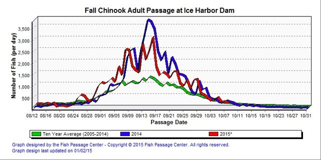 Fall Chinook passing Ice Harbor Dam on the Lower Snake River in 2015