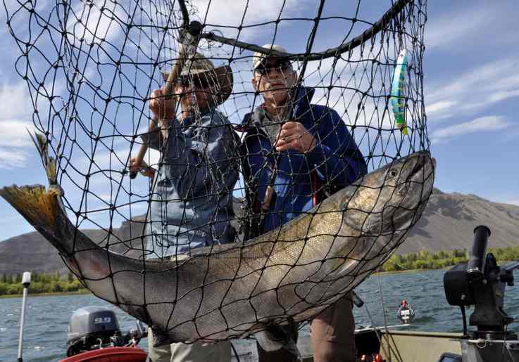 Salmon fishing guide Dave Grove nets a fall chinook for David Moershel of Spokane while fishing on the Columbia River. (Rich Landers photo)