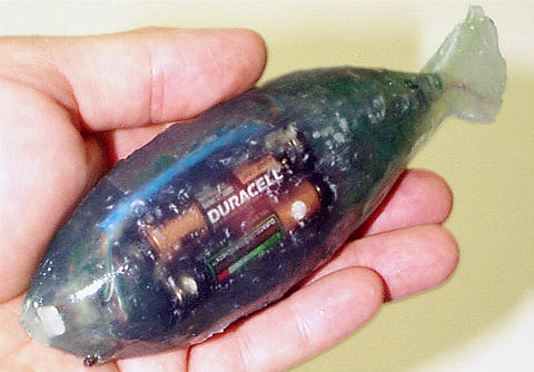 Pacific Northwest National Laboratory's  first-generation gummy version of the sensor fish