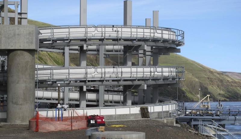 An elevated fish ladder designed to help migrating fish swim through the Lower Granite Dam on the Snake River near Almota, Washington.  (Nicholas K. Geranios photo)