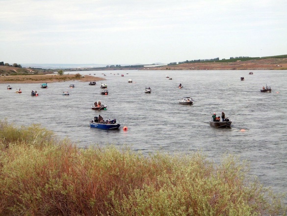 Boaters anchor in the lower Snake River downstream of Ice Harbor Dam.  Washington anglers will get a shot at catching spring chinook in the Snake River, but not near Clarkston.  (Courtesy of Washington Department)