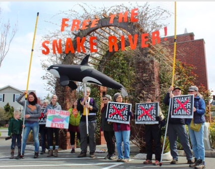Advocates for the removal of dams on the Snake River gathered at the old Edmonds High School portico at Edmonds Way and West Dayton Street.