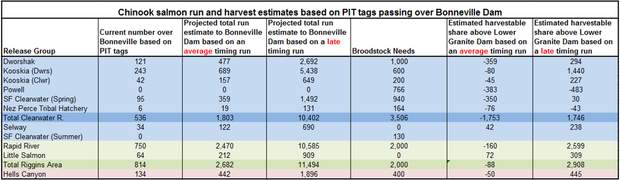Chart shows chinook salmon run and harvest estimates based on PIT tags passing over Bonneville Dam.