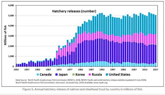 Graphic: Worldwide hatchery release of Chinook salmon (North Pacific Anadromous Fish Commission data)