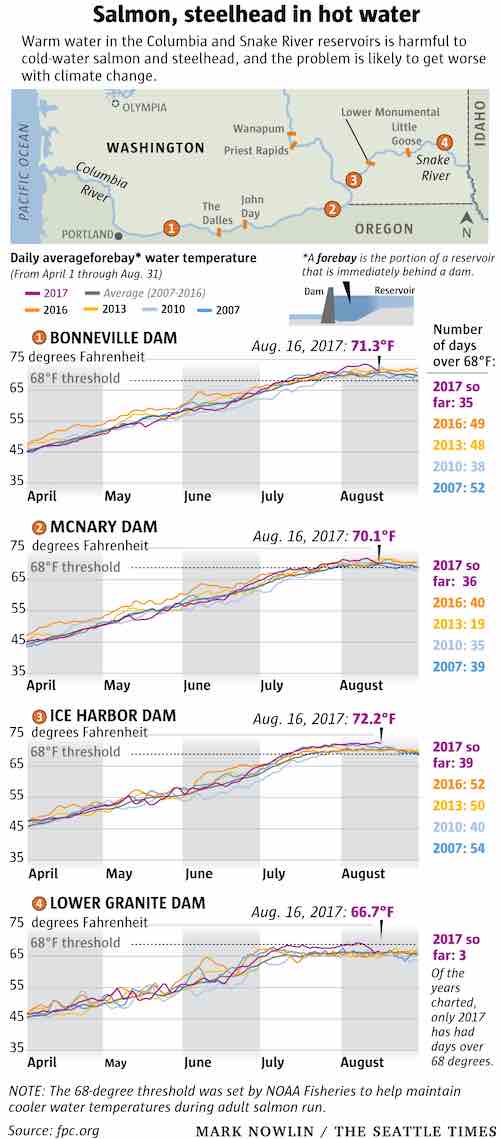 Graphic: River temperatures in 2017 on the Columbia and Snake Rivers were again too high for salmon and steelhead adults migrating upstream to their natal spawning grounds.
