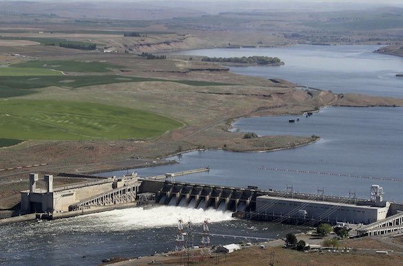 In this 2013 aerial file photo, the Ice Harbor Dam
on the Snake Ri ver is seen near Pasco, Washington (Bob Brawdy / Associated Press).