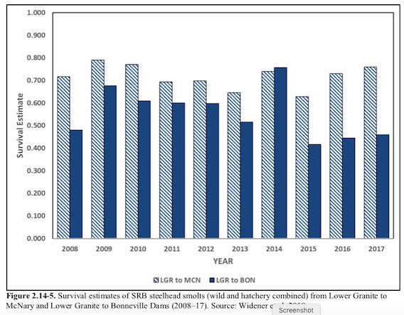 Juvenile steelhead survival rates through Lower Snake River dams and then on through four more dams on the Columbia River (source: NOAA Fisheries 2019 FCRPS Biological Opinion
