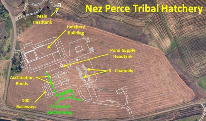 Nez Perce tribal hatchery proposed construction plan (source: Nez Perce Tribe)