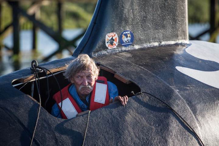 John Wilfer, the pilot of a fake life-sized orca vessel, looks out from an opening as the whale is moved into position in the East End Mooring Basin on Thursday, June 4, 2015 in Astoria, Ore. The effort to use a fake orca to scare off hundreds of sea lions crowding docks off the Oregon coast ended with the fiberglass creature belly-up after it was swamped by a passing ship. (AP Photo/The Daily Astorian, Joshua Bessex) (Andrew Theen | The Oregonian/OregonLive)