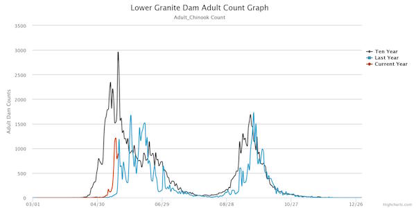 Graphic from Fish Passage Center, shows late arrival of this year's Chinook migrating up over Lower Granite Dam (2018) along with the 10-year average.