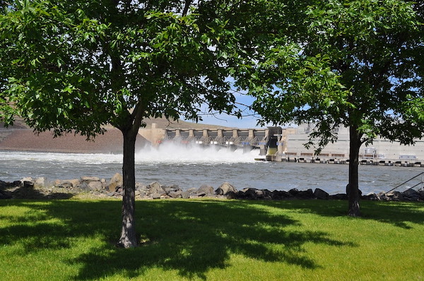Little Goose Dam is located on the Snake River near Starbuck, Wash., and upstream of Lake West, the reservoir formed by Lower Monumental Dam. It is a concrete gravity dam with an earthfill abutment embankment.