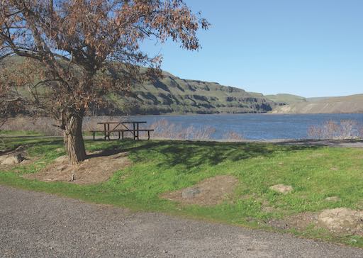 Picnickers get prime seats at the river theater (Jeff Petesen photo).