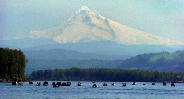 Oregon and Washington announced late Thursday the reopening of part of the Columbia river to salmon fishing.