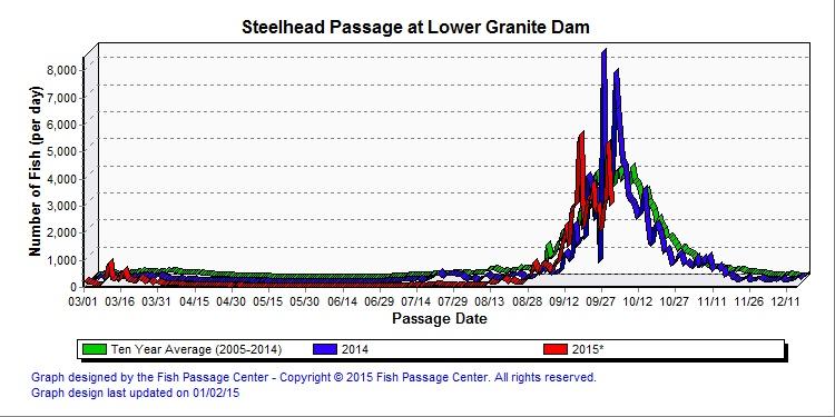 Graphic: Steelhead counts over Lower Granite Dam 2015 compared to ten-year average.