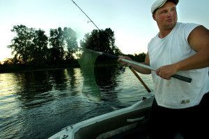 David Vasilchuk pulls in a net containing a pikeminnow that he quickly caught while bounty fishing on the Columbia Rive (Amanda Smith photo)