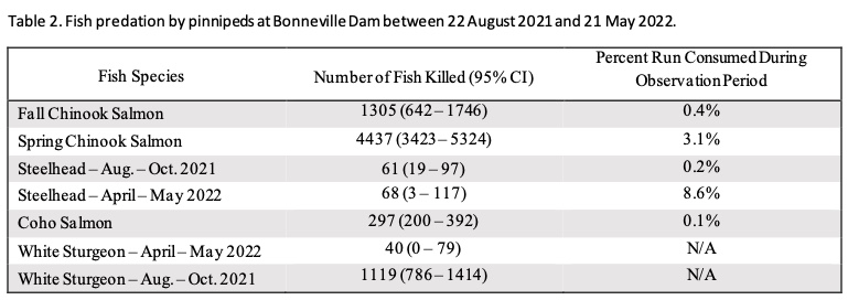 The predation impact on all fish species for each study period (Table 2). All predation estimates are presented as the bootstrap calculated adjusted estimate (i.e. raw count data expanded for missing hours and adjusted for unidentified fish catches) and are followed by their associated 95% confidence bounds to display the confidence of the estimate.