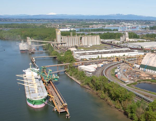 Union workers loading grain for international shipping at the Port of Portland’s Terminal 5 inflated their own time cards and those of colleagues for more than four years, costing their employer, Columbia Export Terminal, more than $5 million, a federal lawsuit alleges.