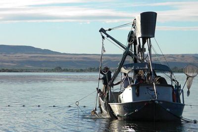 (Michelle Campobasso, Colville Tribes photo) Purse Seine fishing boat equipped with Selective Fishing gear