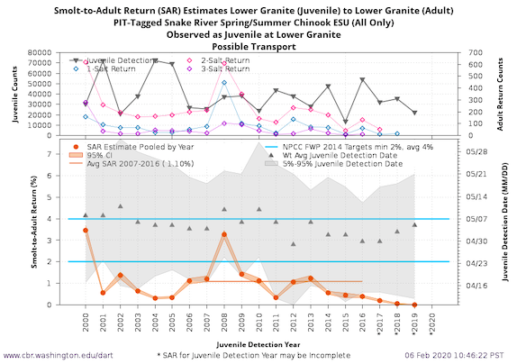 Graphic: Smolt to Adult ratio of Idaho's Spring/Summer Chinook (2000-2019) as estimated by Columbia Basin Research.