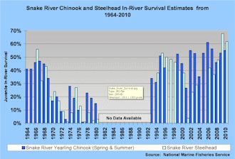 Snake River Chinook Salmon in-river Survival 1964-2010.