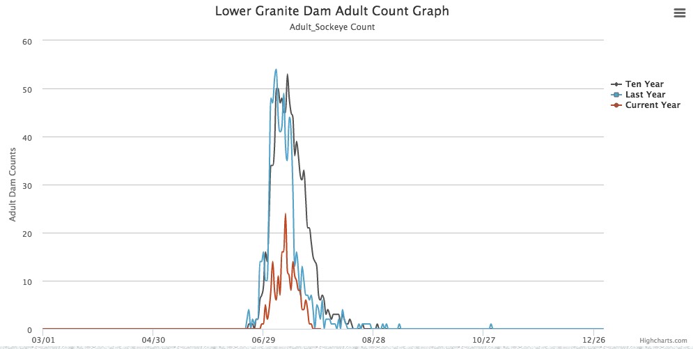 Graphic: Sockeye Salmon run at Lower Granite Dam 2017 well below 10-year average.
