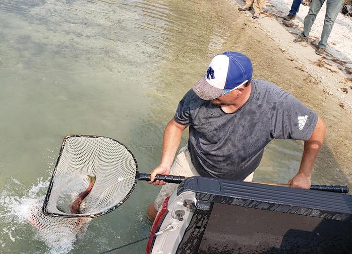 Robert Trahant, a member of the Shoshone-Bannock Tribes, helps release wild-spawned sockeye back into Pettit Lake.