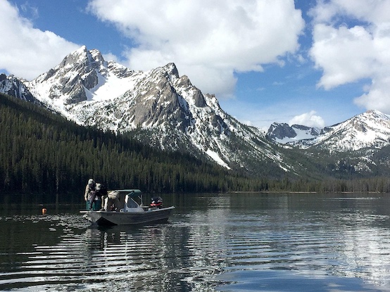 Idaho Fish and Game technicians run a gillnetting operation on Stanley Lake to check fish populations. A full-scale gillnetting operation began this month to remove lake trout from the lake. (Idaho Department of Fish and Game)