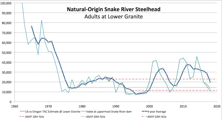 Graphic: Snake River Steelhead populations are in steep decline.  NOAA Fisheries' Adaptive Management Implementation Plan includes an Early Warning Indicator that has now been tripped, but NOAA Fisheries is remaining silent on that for now.
