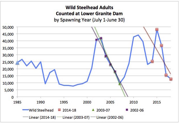 Graphic: Snake River Steelhead are on a steep decline, and now triggering the Early Warning 
Indicator of NOAA's 2014 Supplemental Biological Opinion for the Federal Columbia River Power System.
