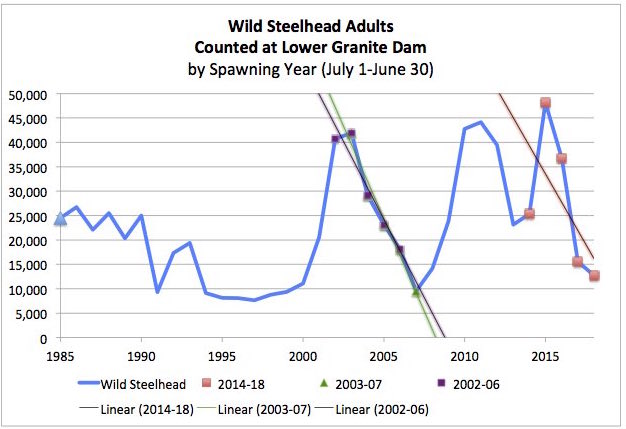 Graphic: Snake River Steelhead are on a steep decline, and now triggering the Early Warning Indicator of NOAA's 2014 Supplemental Biological Opinion for the Federal Columbia River Power System.