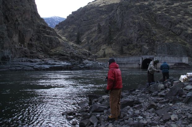 Just downstream from Hells Canyon Dam, steelhead anglers fish the Snake River in November 2014.