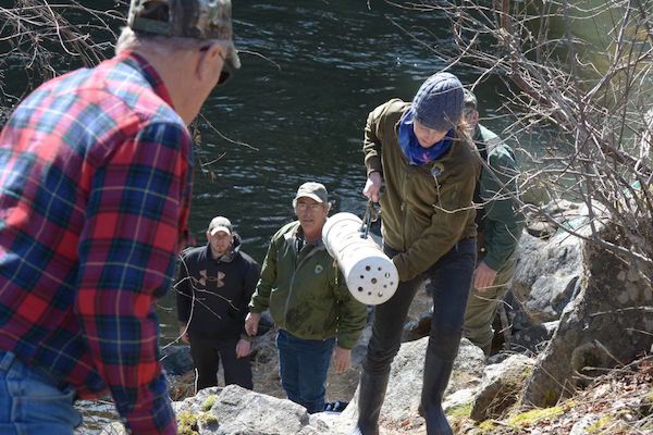 Anglers and Idaho Fish and Game employee’s form a bucket brigade to ferry a steelhead in a holding tube up a steep bank to the waiting tank in a truck. The program on the South Fork of the Clearwater River may be implemented again early next year.