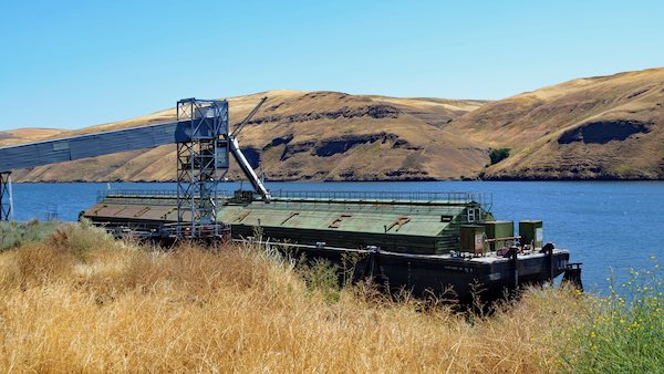 A wheat barge along the Snake River in eastern Washington. Farmers fear that if dams are removed and they lose access to a barge system, they'll have more difficulty getting their wheat to market.