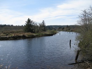 The Bonneville Power Administration has purchased 117 acres at the mouth of the Wallicut River near Ilwaco, Wash., as part of its efforts to offset the negative impact of the dams on salmon fisheries.
