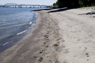 (Benjamin Brink) West Hayden Island, with the I-5 bridge over the Columbia River in the background, as seen two years ago.