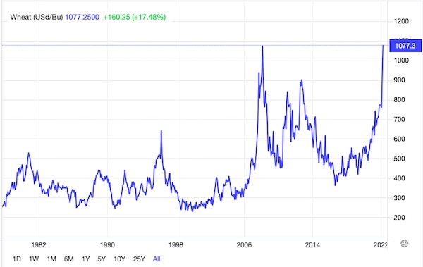 Chicago wheat eased further from a 14-year high peak of $12.8 per bushel to below $11 and is on track for its first weekly decline in five, after the USDA's outlook for world supplies topped all pre-report estimates, thanks to a more significant Australian crop.