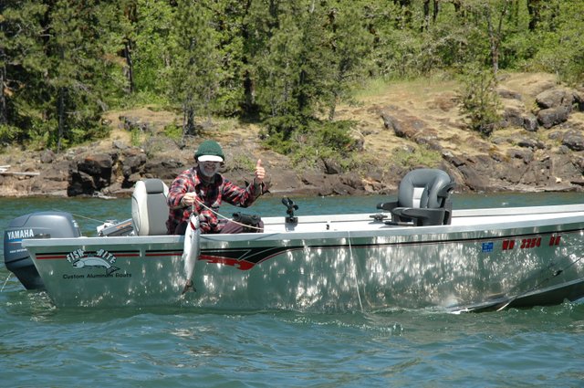 (Allen Thomas) Anglers at the mouth of the Wind River are catching lots of jack spring chinook salmon. Through Sunday, there have been an estimated 3,147 boat trips at the Wind with a catch of 512 adult chinook kept, four adult chinook released, 103 jack chinook kept and 23 jacks released. Based on tagged adults detected at Bonneville Dam, the chinook run to the Wind appears to be on track for a return of about 3,000 salmon. Carson National Fish Hatchery has 485 chinook back with a goal of 1,500.